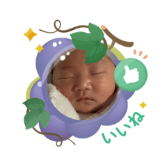 wakana_20250502200436