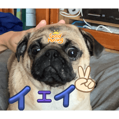 riku_20250502201518