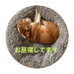Hikaru_20250502225003