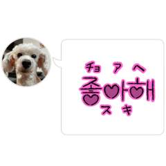 Crystal_20250502225617
