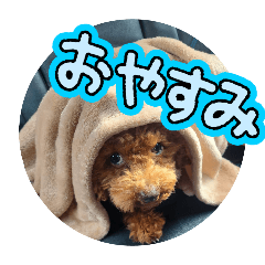 haru_20250503033557