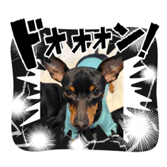 tomochan_2025