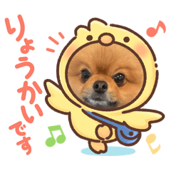 Yuka_20250502213121