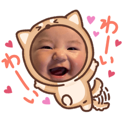 abc_20250503000044