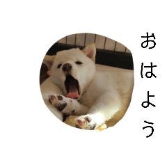 kayo_20250503105302