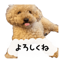 choco_20250502163847