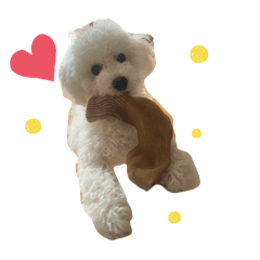 ayaka_20250502163321
