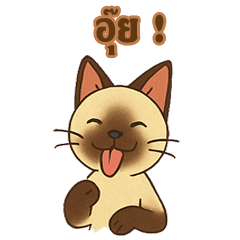 Cute Siamese cat!