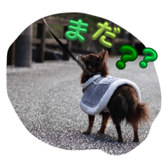 nana_20250502194340