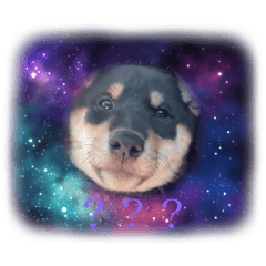 yyy_20250502195414