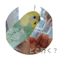 miku_20250502195146