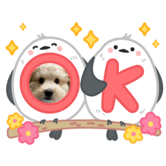 mi_20250503055216