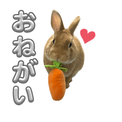 pon_20250502215626