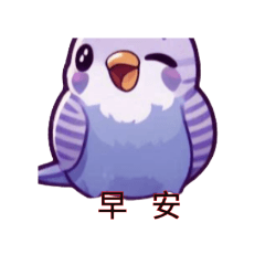 可愛小虎皮鸚鵡