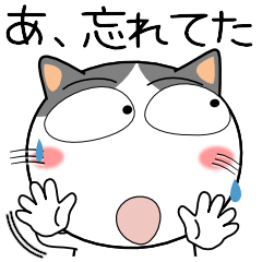 ハチワレ猫★家族通信