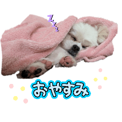 misa_20250502182002