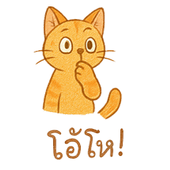 แมวซน !