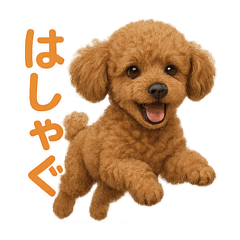 トイプードルの日常・癒しの連休編