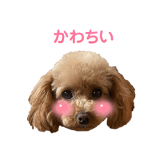 Yui_20250503014232