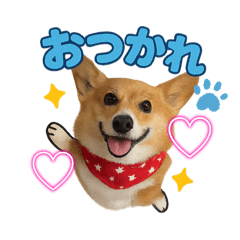 nonchan_20250503103657
