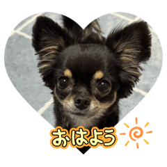 sachi_20250503103846