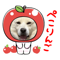 akane_20250502231528