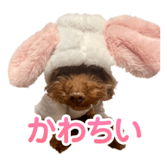 YUKA_20250502231448