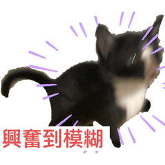 敲碗很久的布點貼圖 終於推出