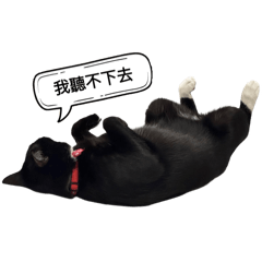 小黑p.0