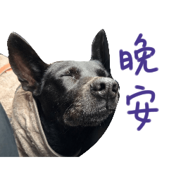 瓦仔有字版