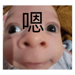 秉森、思懷、品榛、宥彤