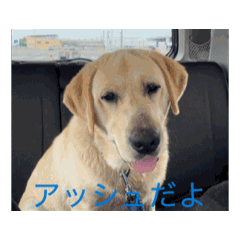 hitomi_20250503133529