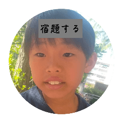 koto_20250503101657