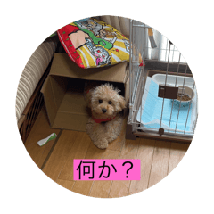 TANIDA_20250503103044