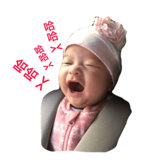 qin qin