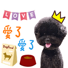 oo寶貝❤️