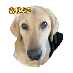 hitomi_20250503124736