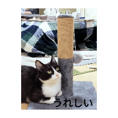 yuna_20250503124504