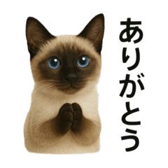 KANAKO_20250502180023