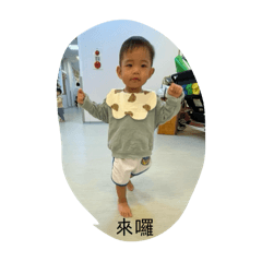 柳橙6