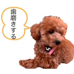 yuka_20250503132859