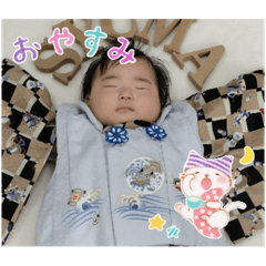 nori_20250503134519