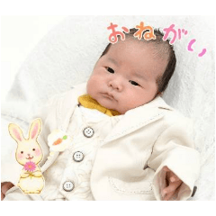 haru_20250503135336