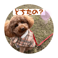 Rui_20250502184055