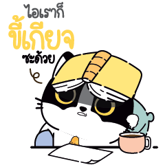 .. Catster so lazy all day long ..