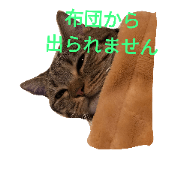 kawaii cats by eri