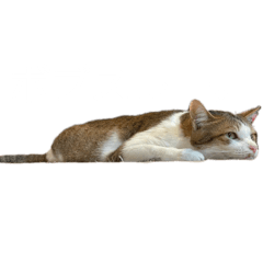 YM_20250503002142