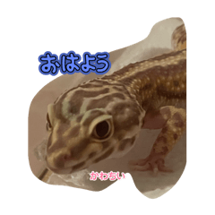 hitomi_20250503144748