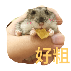 Taobao blessing big day