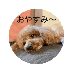 Hana_20250503174033